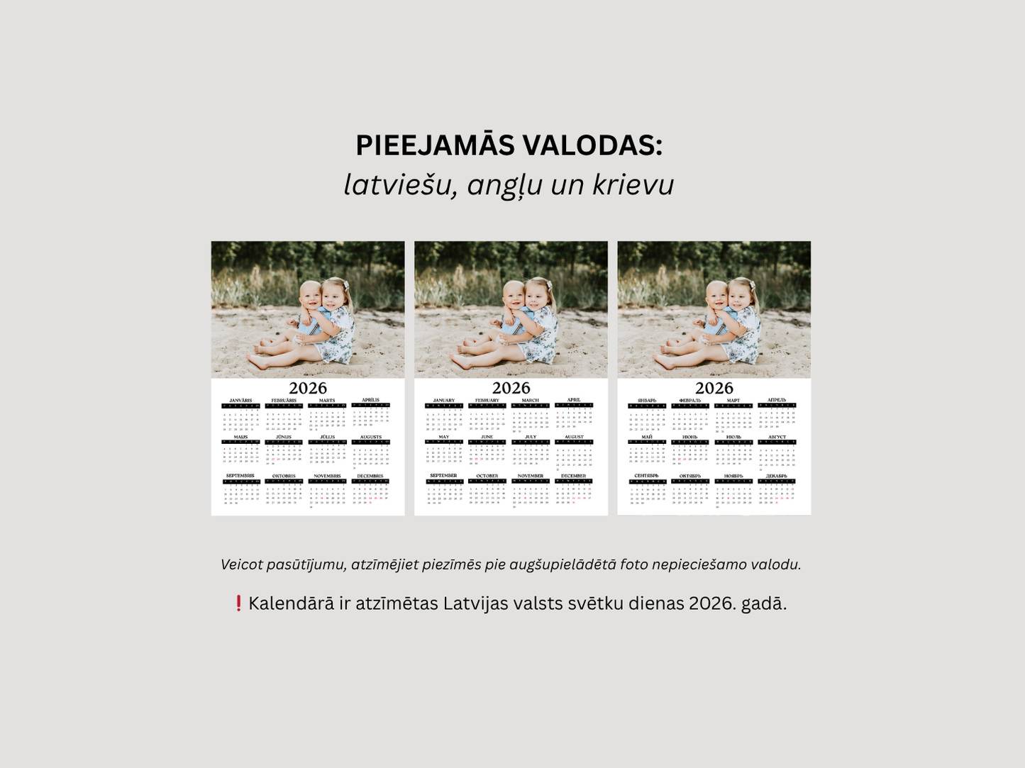 Calendar "Magnetic" 2025 (yearly)