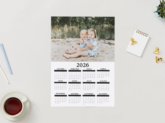 Calendar "Magnetic" 2025 (yearly)